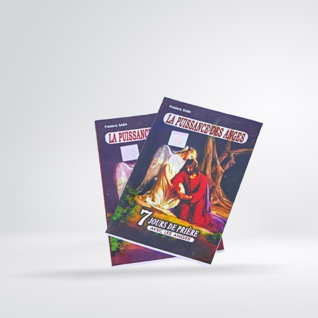Livre La Puissance des Anges – 7 jours de prière