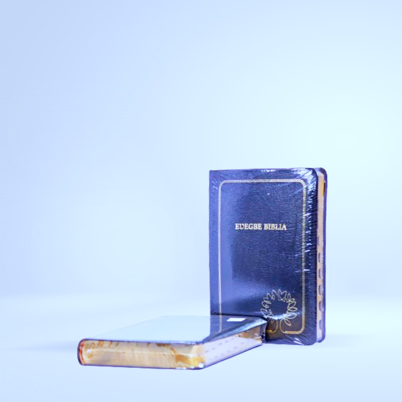 Bible "Eυegbe Biblia" (langue locale, bleu marine/or)